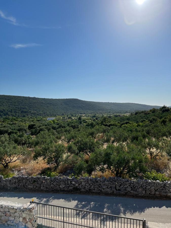 Apartment Olea Marina Dış mekan fotoğraf