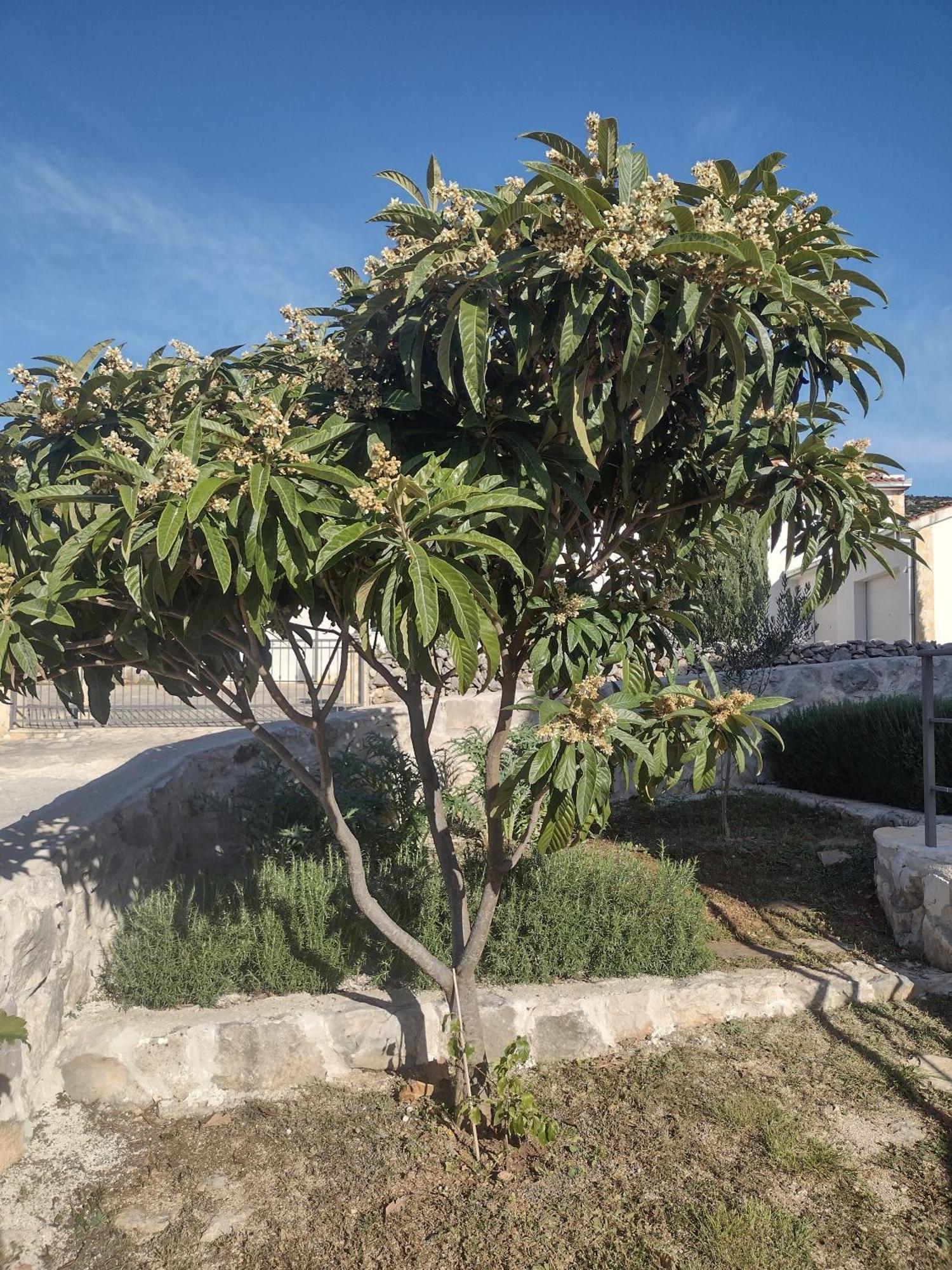 Apartment Olea Marina Dış mekan fotoğraf