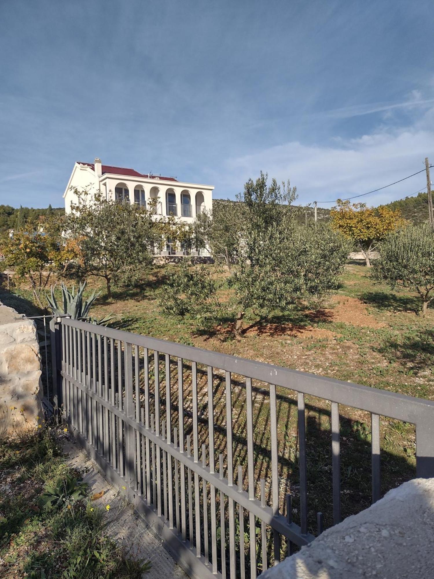 Apartment Olea Marina Dış mekan fotoğraf